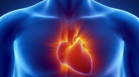 curso ANATOMÍA INTUITIVA thetahealing alex pozo vianna stibal tikun centro del bienestar thetahealer cullar vega granada andalucia españa europa desarrollo espiritual sanacion desarrollo personal espiritualidad intuicion