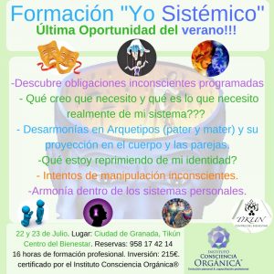 arquetipos yo sistemico consciencia identidad desarrollo personal espiritual descodificacion