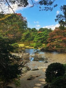 viaje a japon tikun centro del bienestar guia