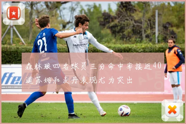 森林狼四名球员三分命中率接近40道苏姆和麦丹表现尤为突出