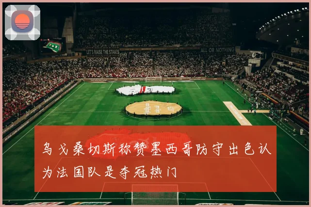 乌戈桑切斯称赞墨西哥防守出色认为法国队是夺冠热门