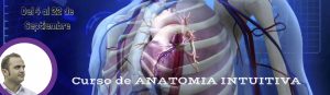 curso ANATOMÍA INTUITIVA thetahealing alex pozo vianna stibal tikun centro del bienestar thetahealer cullar vega granada andalucia españa europa desarrollo espiritual sanacion desarrollo personal espiritualidad intuicion