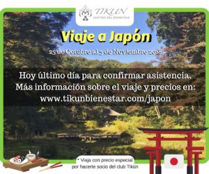 viaje a japon tikun centro del bienestar guia