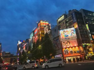 viaje a japon tikun centro del bienestar guia