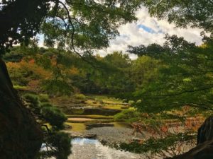 viaje a japon tikun centro del bienestar guia