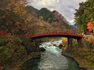 viaje a japon tikun centro del bienestar guia